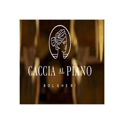 Logo Caccia Al Piano
